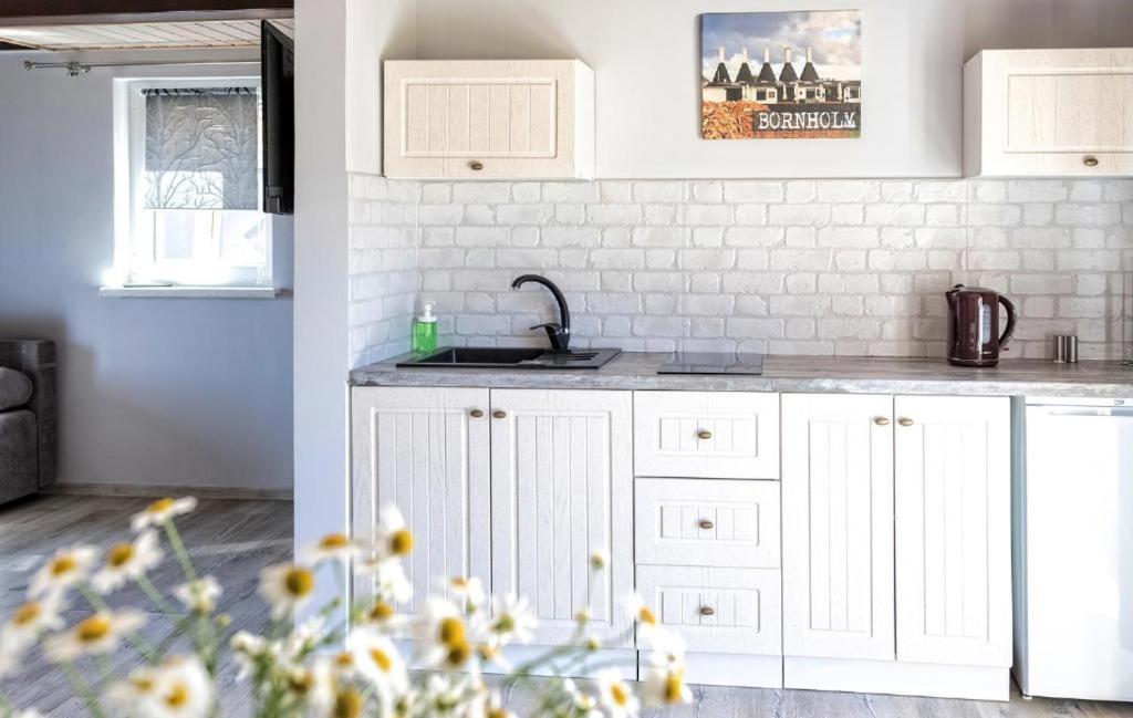 Bornholm Apartments Svaneke Kültér fotó